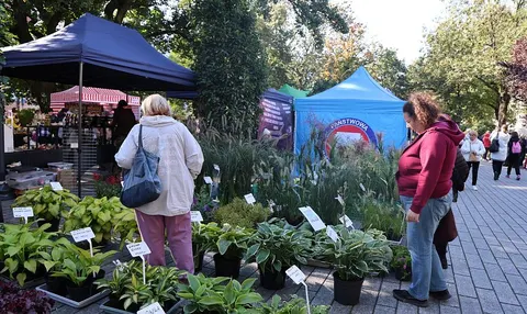 Plakat: Targi na Plantach cieszą się dużą popularnością
