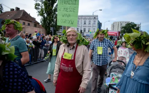 Plakat: Winiarze przygotowują się do Dni Zielonej Góry
